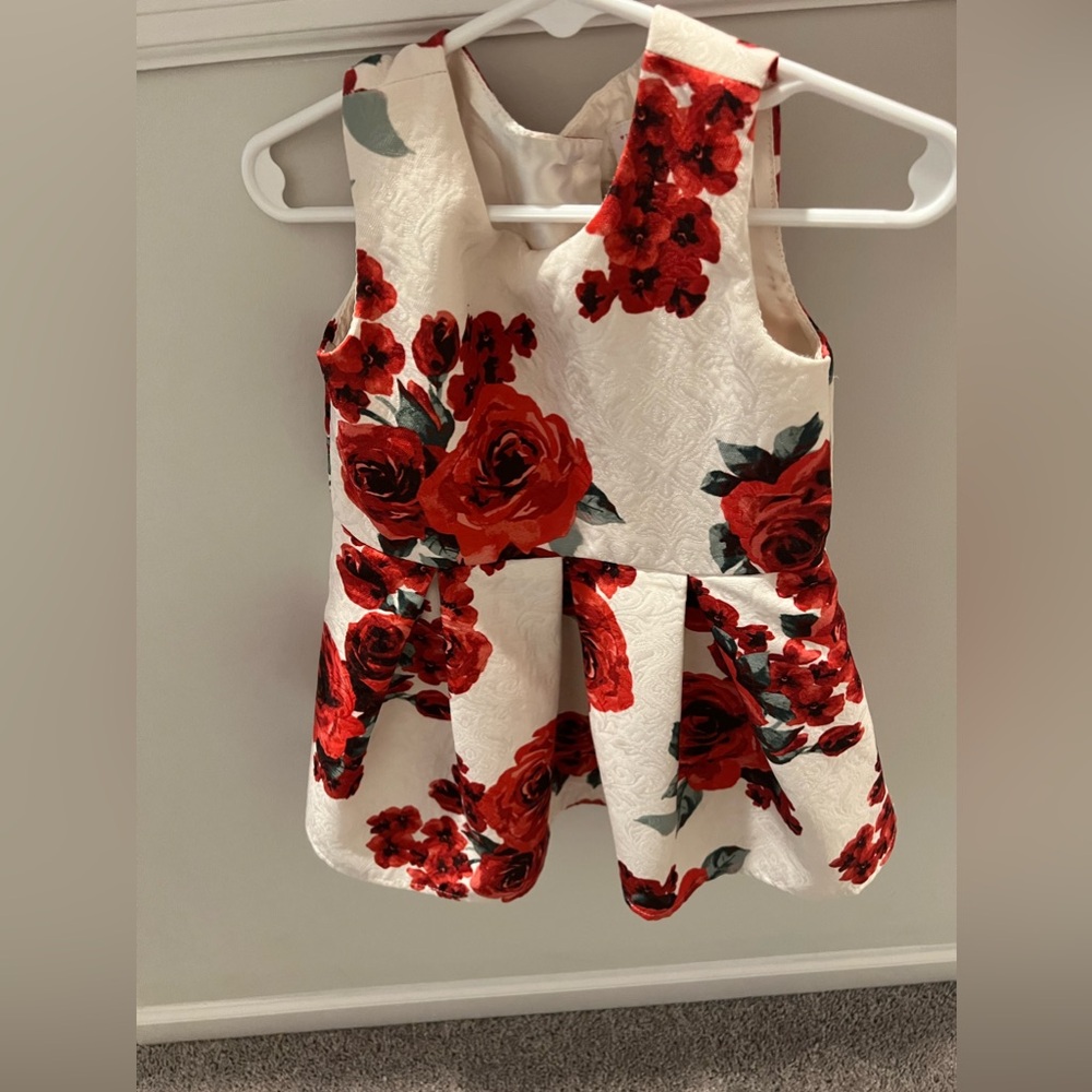Toddler Girl Dress Size 3T Flower Girl Dress
